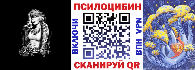 Галлюциногенные грибы мицелий  Купить где  Грязовец 