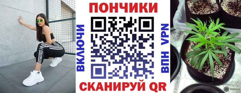 Канабис план  Купить закладки  Грязовец 
